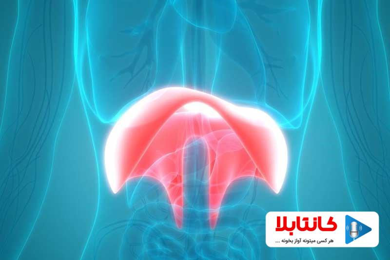 تنفس دیافراگمی