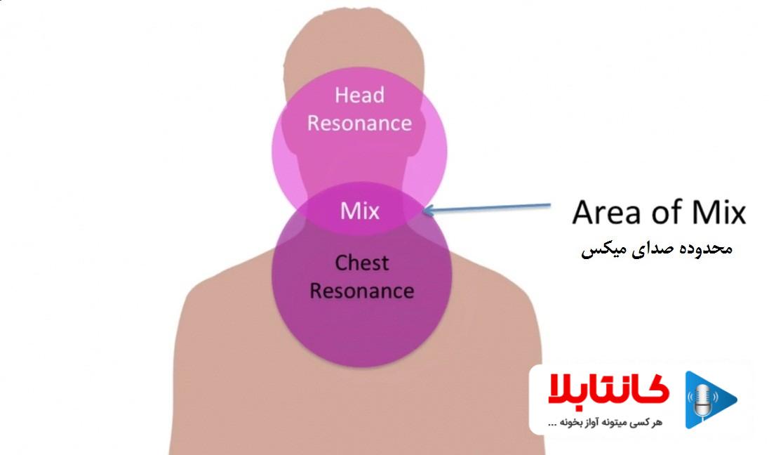 تکنیک های خوانندگی میکس ویس